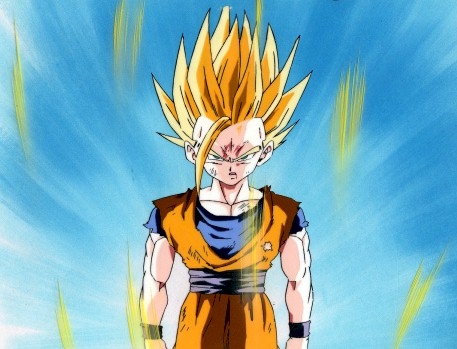 gohan3.jpg