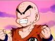 krillin.jpg