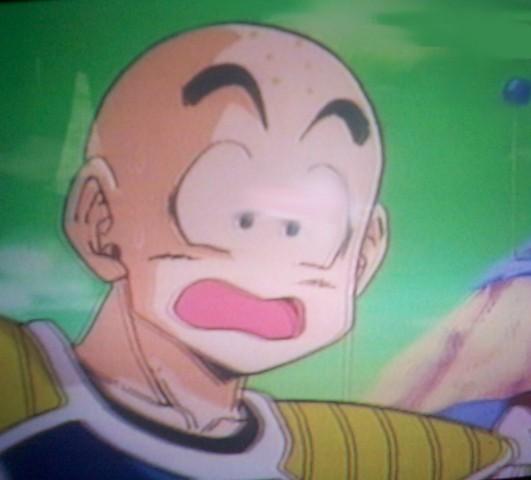 krillin2.jpg