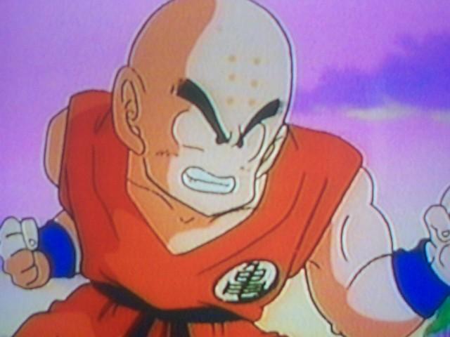 krillin4.jpg